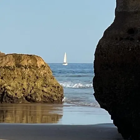 Gm Premium פורטימאו