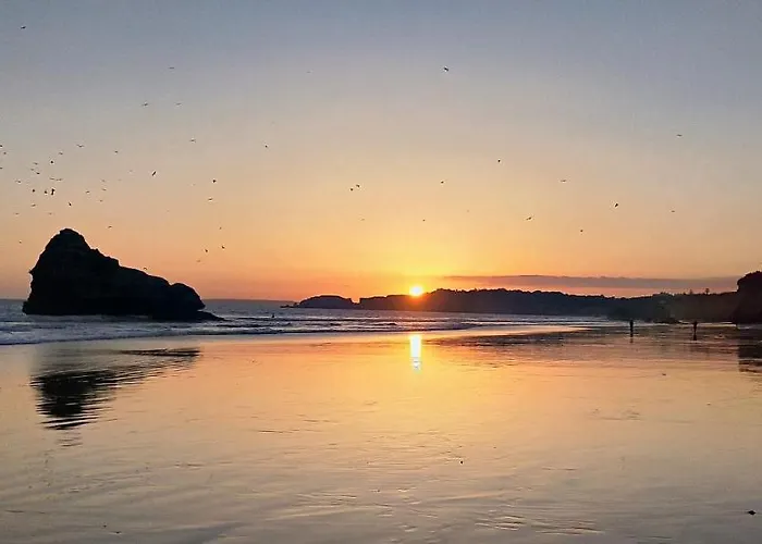 Gm Premium 波尔蒂芒