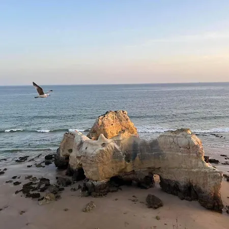 Apartment Gm Premium *