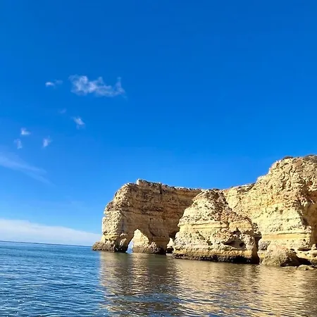 Apartment Gm Premium