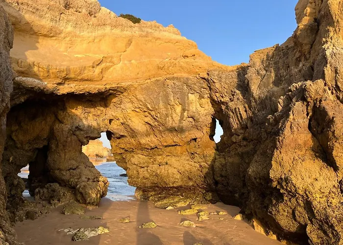 Gm Premium アパート