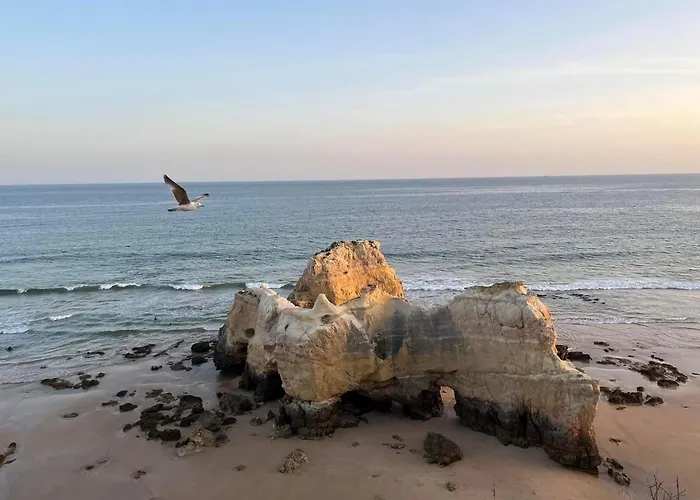 アパート Gm Premium *