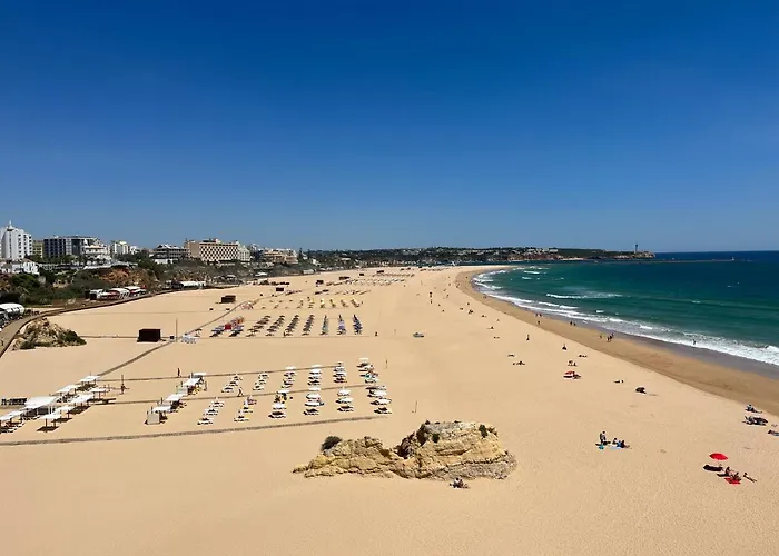 Gm Premium * ポルティマン